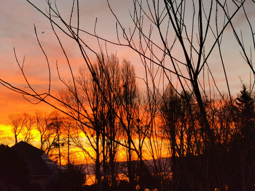 Je me présenteヽ(✿ﾟ▽ﾟ)ノ