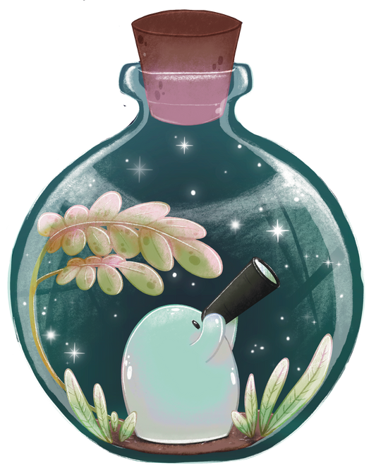 🌿 Explorer, expérimenter… puis recommencer.